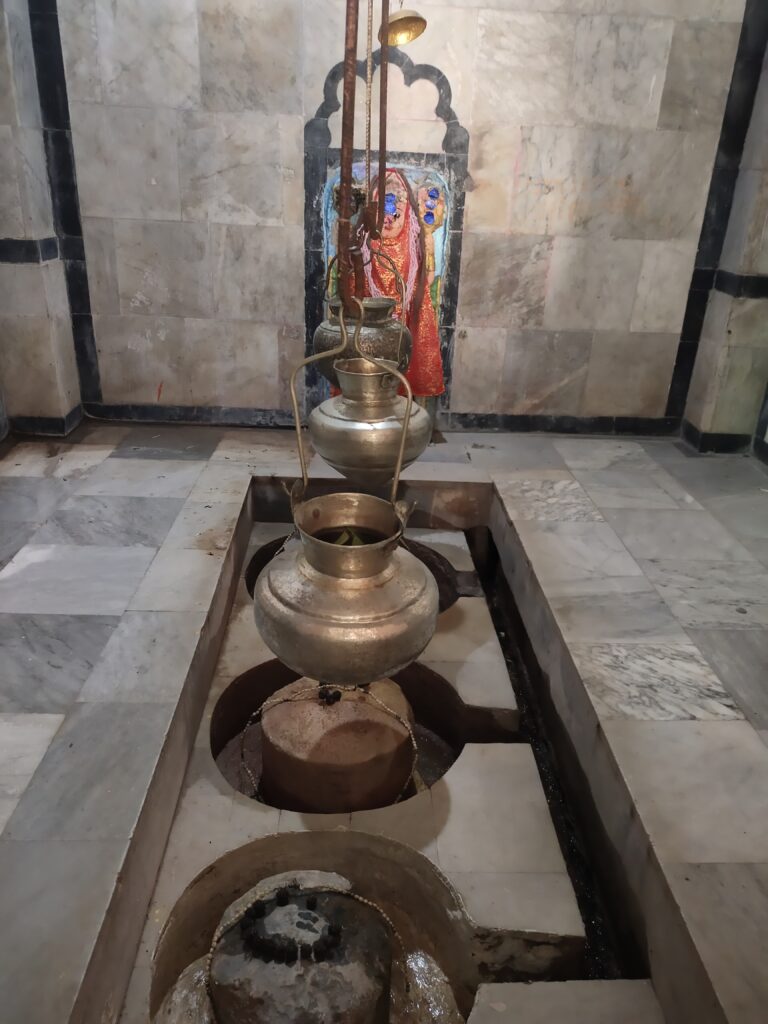 Vagheshwari Mandir 05